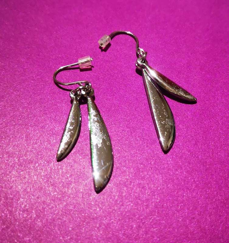 Stainless Steel Earrings