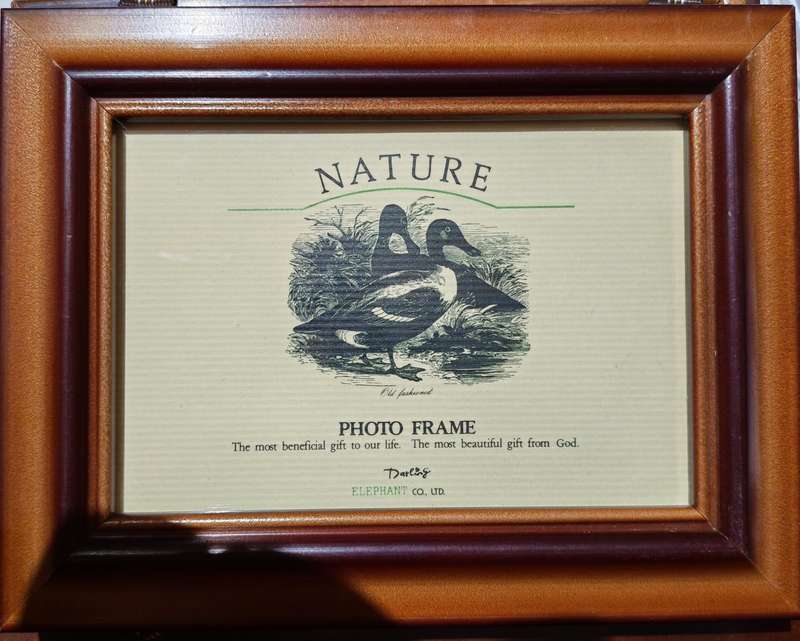 Vintage Nature 3pc-haning Photo Frames