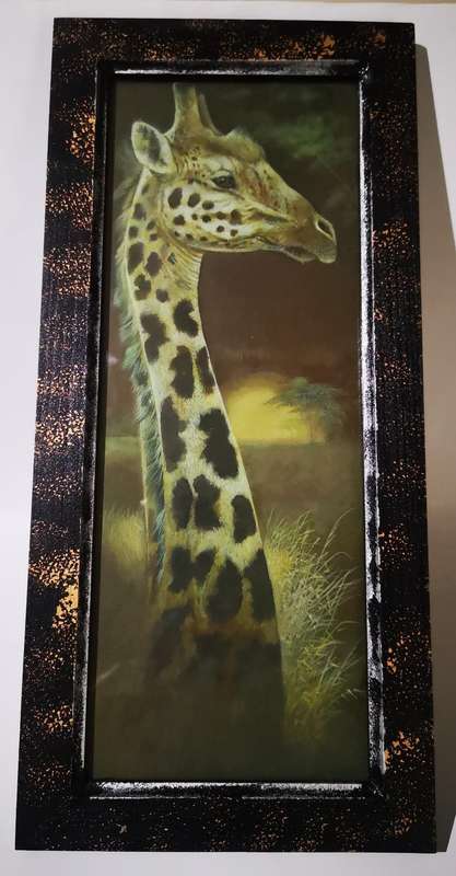 Wildlife Framed Prints (4pc)