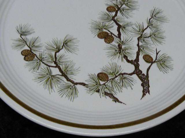 Stone Ware Plate