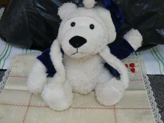 TEDDY