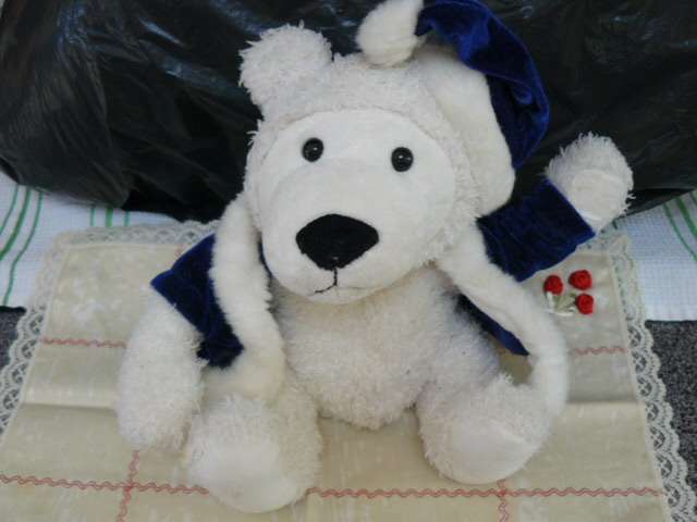 TEDDY