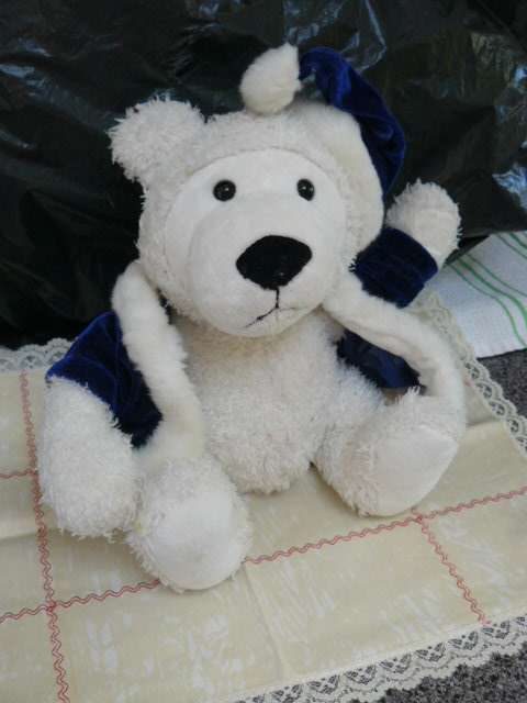 TEDDY
