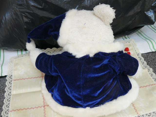 TEDDY