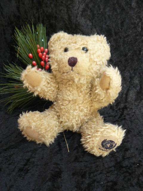 TEDDY BEAR