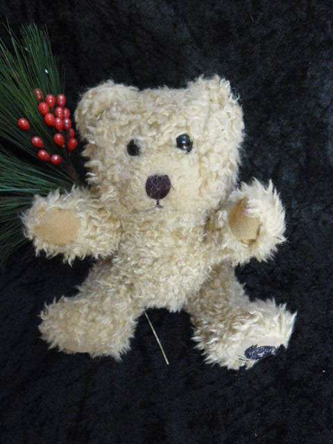 TEDDY BEAR
