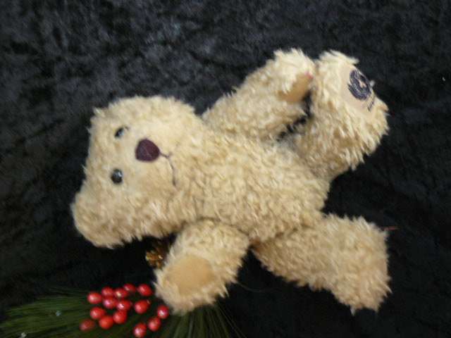 TEDDY BEAR