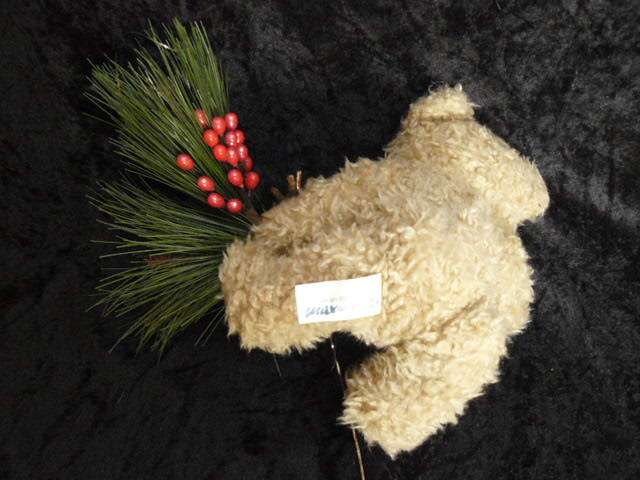 TEDDY BEAR