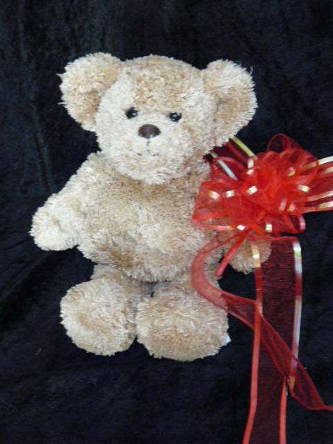 TEDDY FROM SWITZERLND