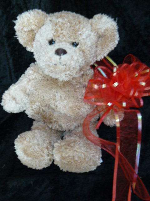 TEDDY FROM SWITZERLND