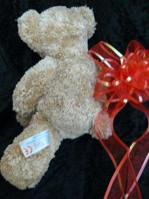 TEDDY FROM SWITZERLND