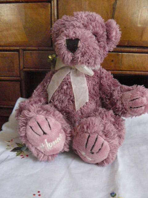 TEDDY BEAR SOFT HOME ZONE 35 CM