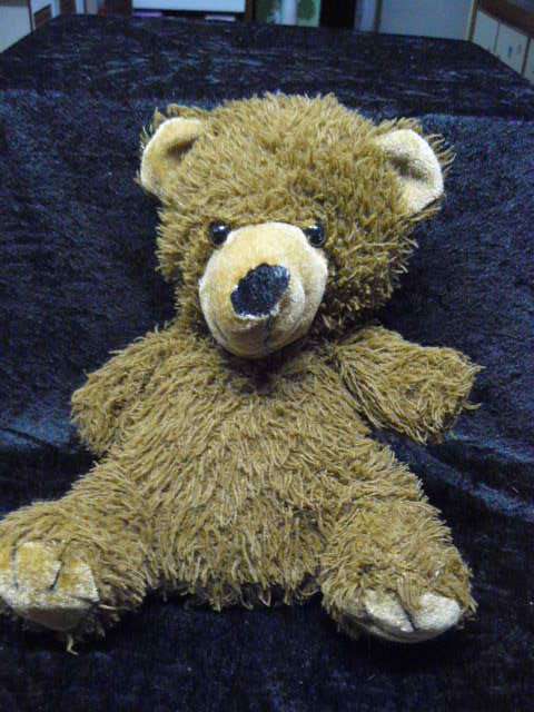 SCRUFFY TEDDY