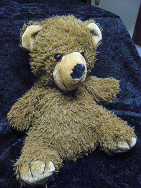 SCRUFFY TEDDY