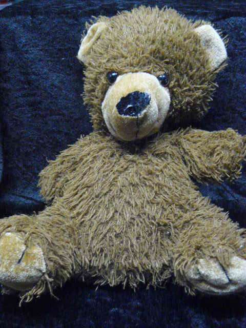 SCRUFFY TEDDY