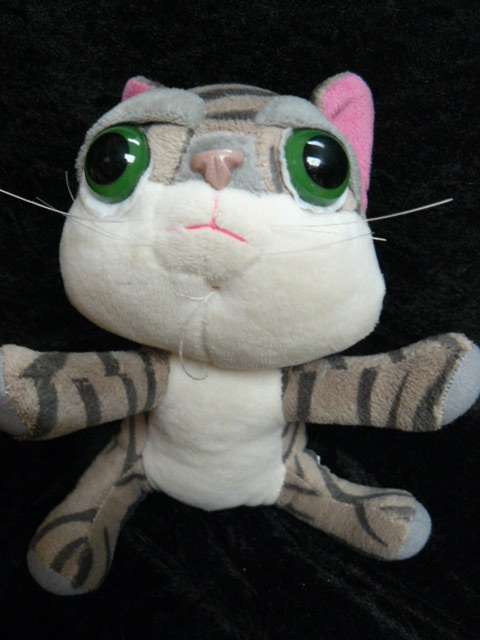 SOFT TOY CAT