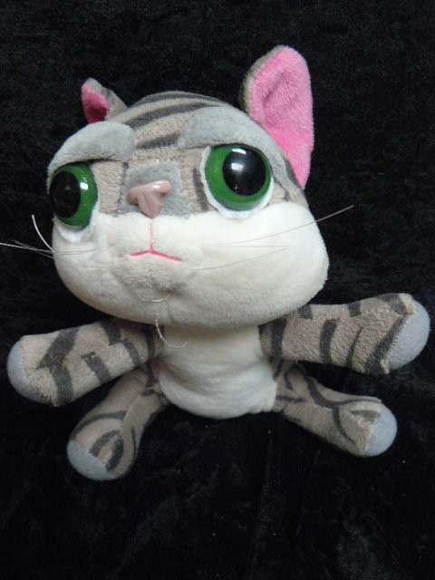 SOFT TOY CAT
