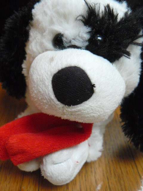 SOFT PUPPY GOG