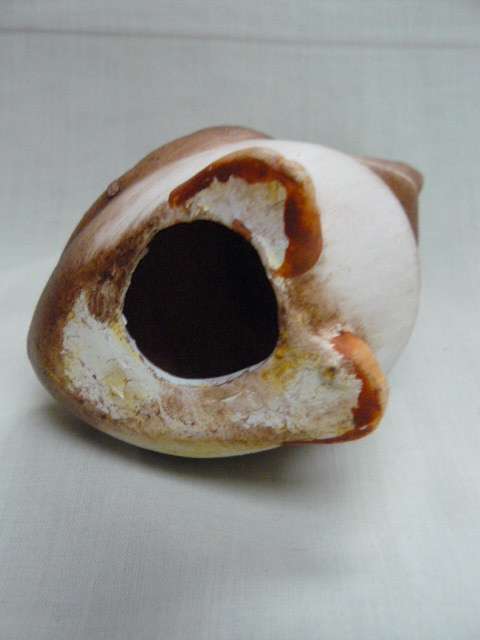 CERAMIC OWL
