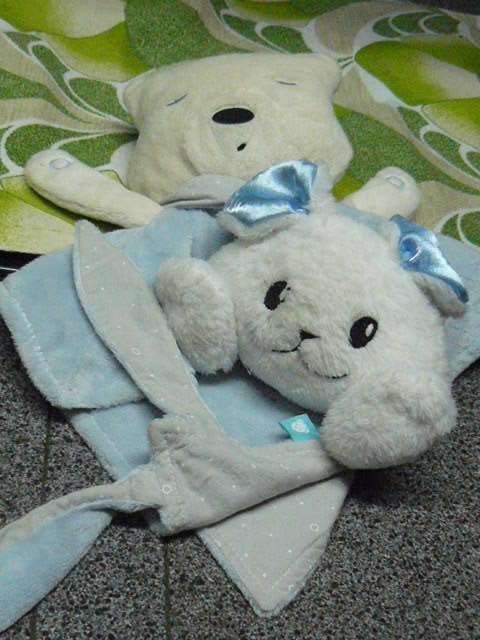 SOFT TOY with snuggle buddy