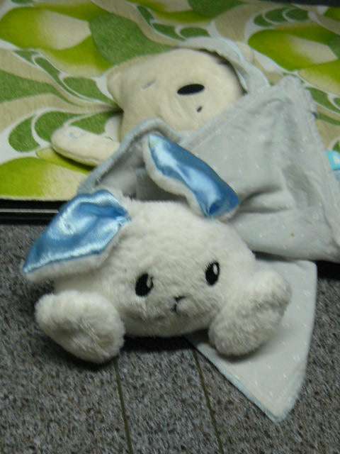 SOFT TOY with snuggle buddy