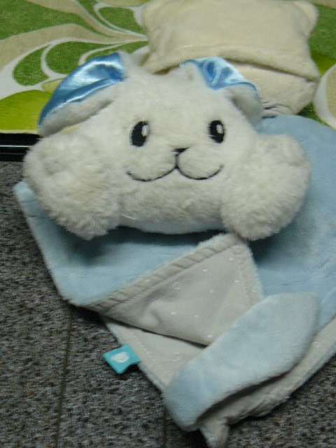 SOFT TOY with snuggle buddy