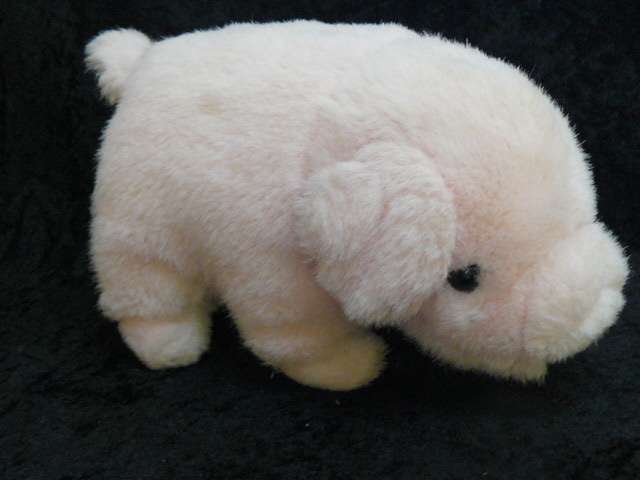 SOFT PIG