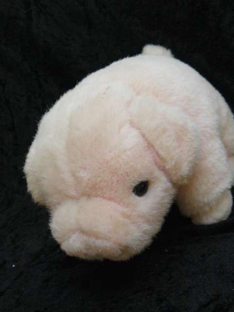 SOFT PIG