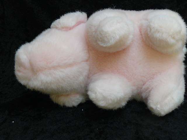 SOFT PIG