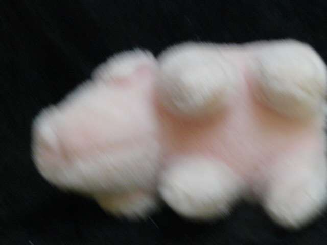 SOFT PIG