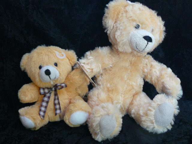 TEDDYS X 2 NEW SOFT AND JUST TOO CUTE