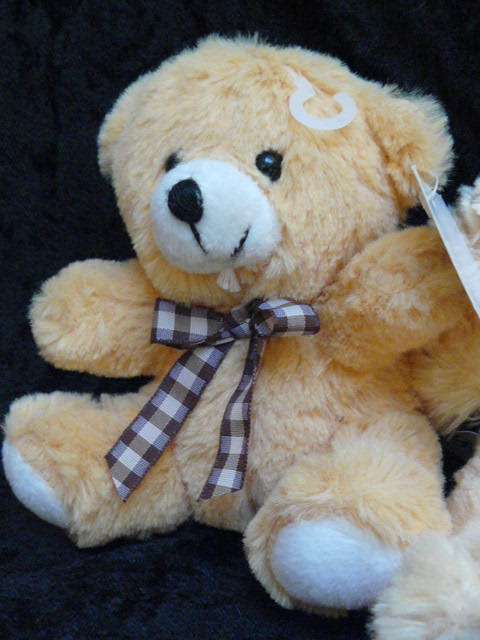 TEDDYS X 2 NEW SOFT AND JUST TOO CUTE