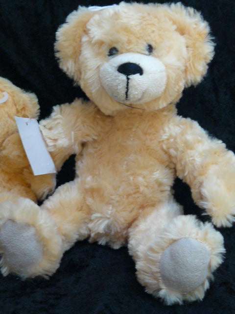 TEDDYS X 2 NEW SOFT AND JUST TOO CUTE