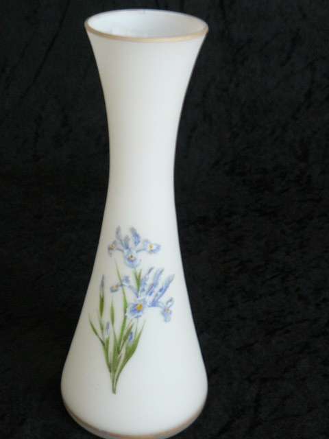 Beautifully hand painted FROSTED WHITE   VASE