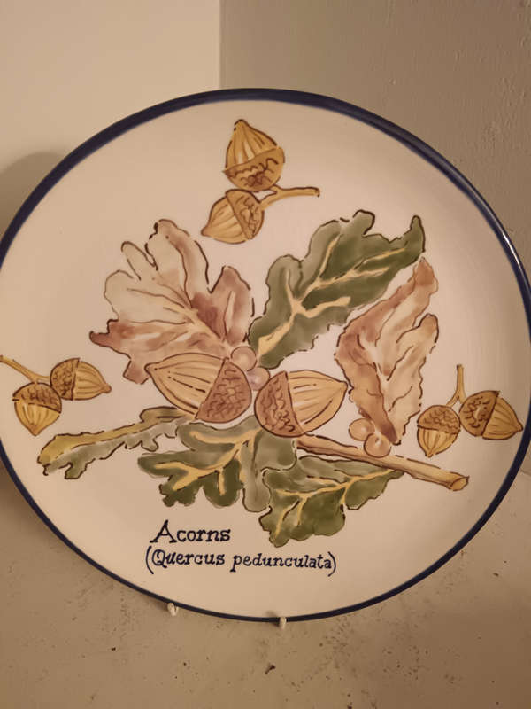 Hand Painted and Decorated Plate by Sue Reid