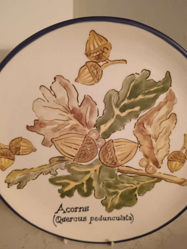 Hand Painted and Decorated Plate by Sue Reid
