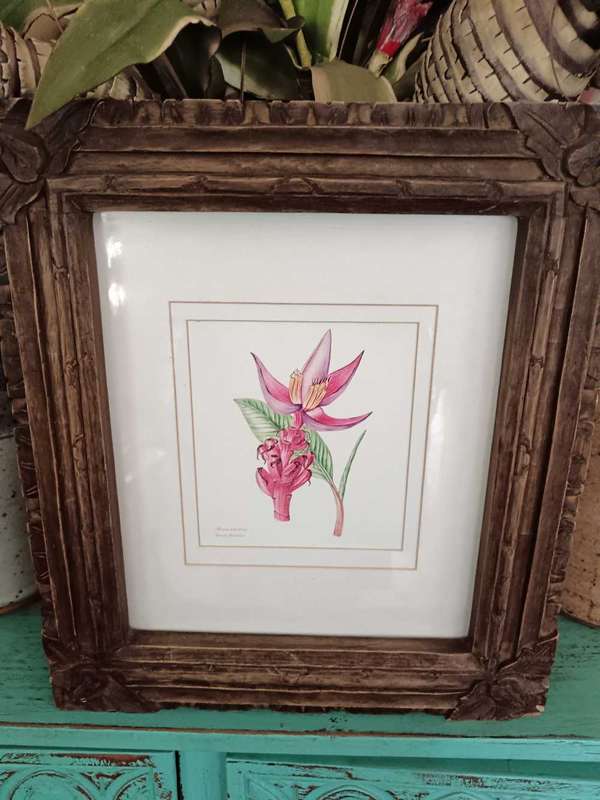Set of 4 Botanical Prints Framed