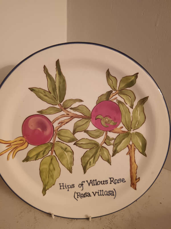 Decorative hand painted plate by Sue Reid