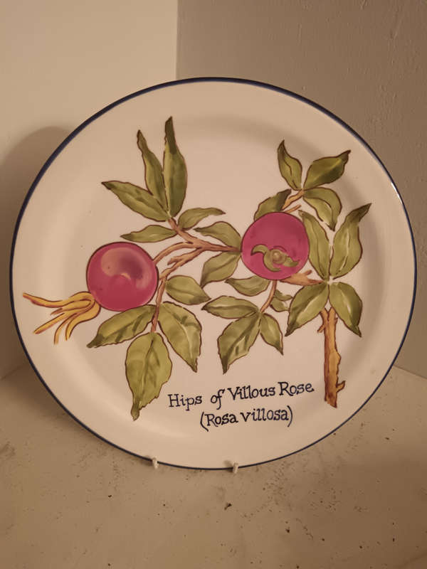 Decorative hand painted plate by Sue Reid