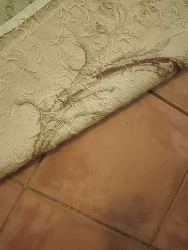 French Aubusson Carpet