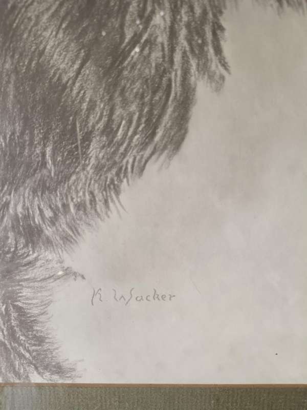 Beautiful Pencil Art Print of Sable  Antelope Framed