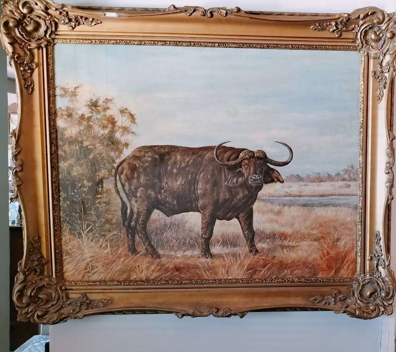Beautifully Framed Water Buffalo Painting Signed By Artist