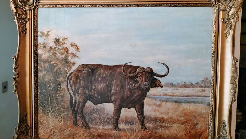 Beautifully Framed Water Buffalo Painting Signed By Artist