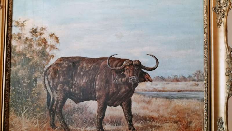 Beautifully Framed Water Buffalo Painting Signed By Artist