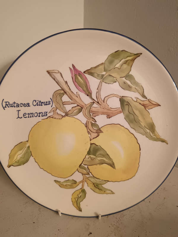 Hand Painted And Decorated Plate by Sue Reid of Lemons