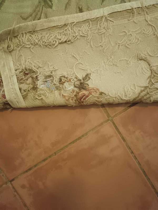 French Aubusson Carpet