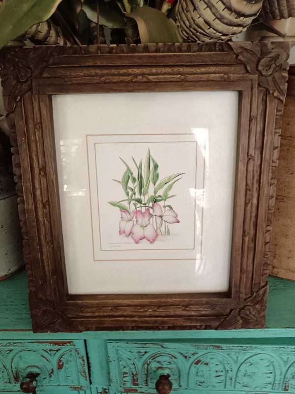 Set of 4 Botanical Prints Framed