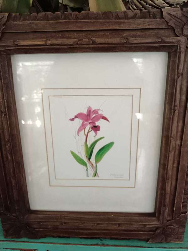 Set of 4 Botanical Prints Framed