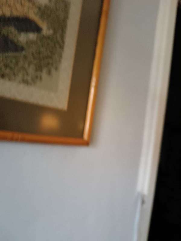 Asian Framed Tapestry