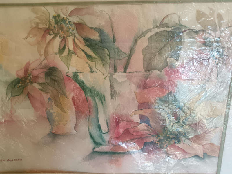 Unframed Water colour of Pointsettas by SA Artist Tessa Antoni